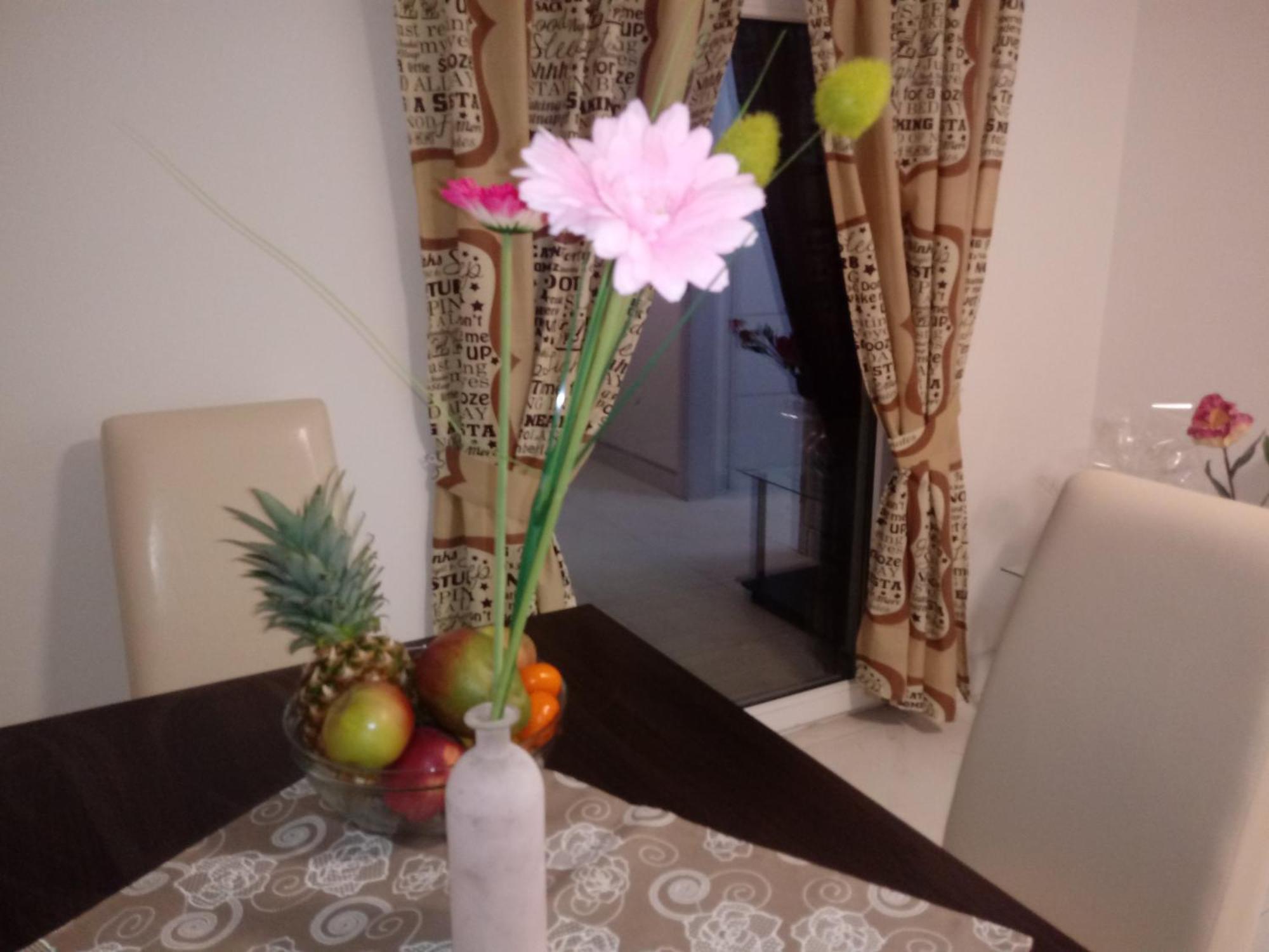 Apartmani Fran Vir Buitenkant foto